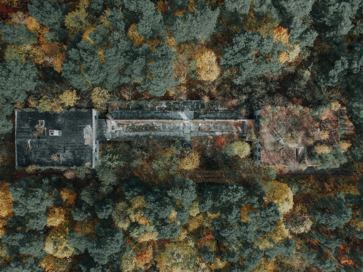 Zofiówka Sanatorium